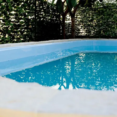 Olive Tree Holiday House With Pool Holiday home